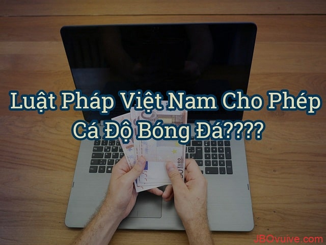 Chơi cá cược tại Miso88 có bị mất thông tin hay không?