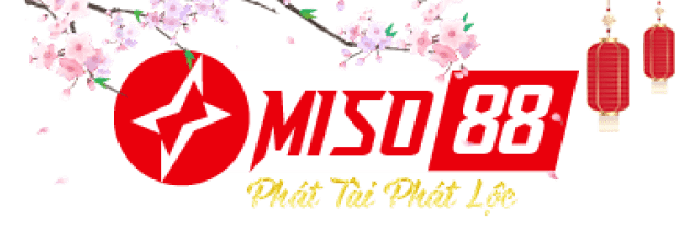 Miso88 Team